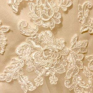 Never Worn Champagne-Colored Lace Wedding Dress